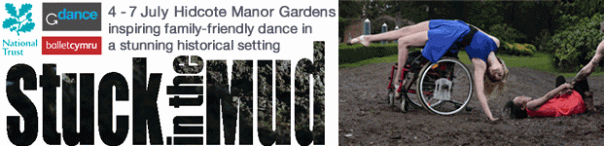 Stuck In The Mud Commission 